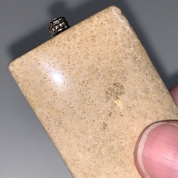 Fossilized Coral Rectangular Pendant - Picture 4 of 10